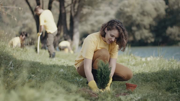 Best Lawn Disease Treatment  in White Salmon, WA