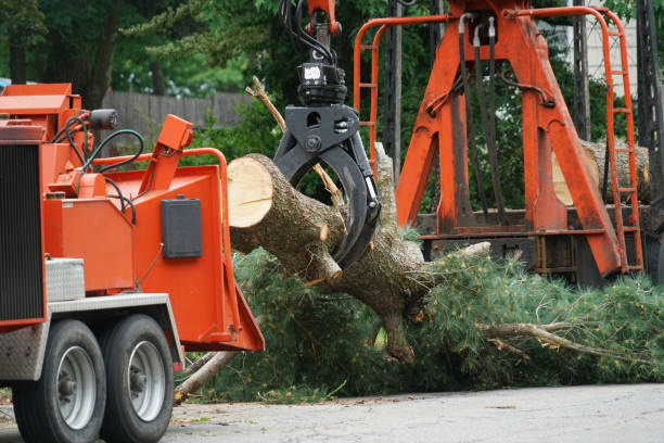 Best Lawn Pest Prevention  in White Salmon, WA
